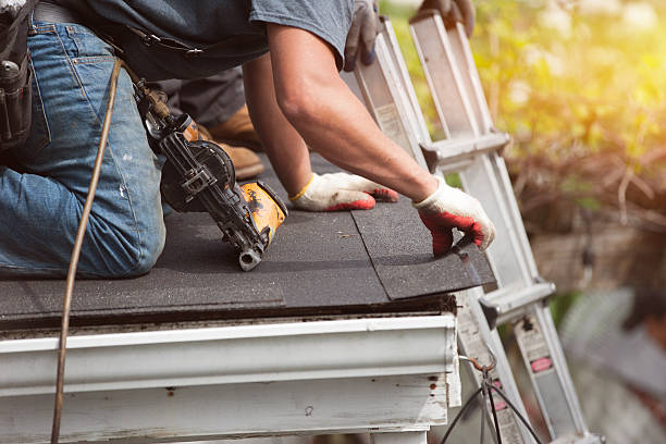 Best Metal Roofing Contractor  in Maxton, NC